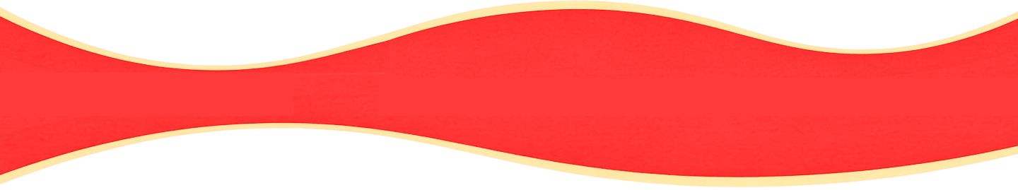 section division image