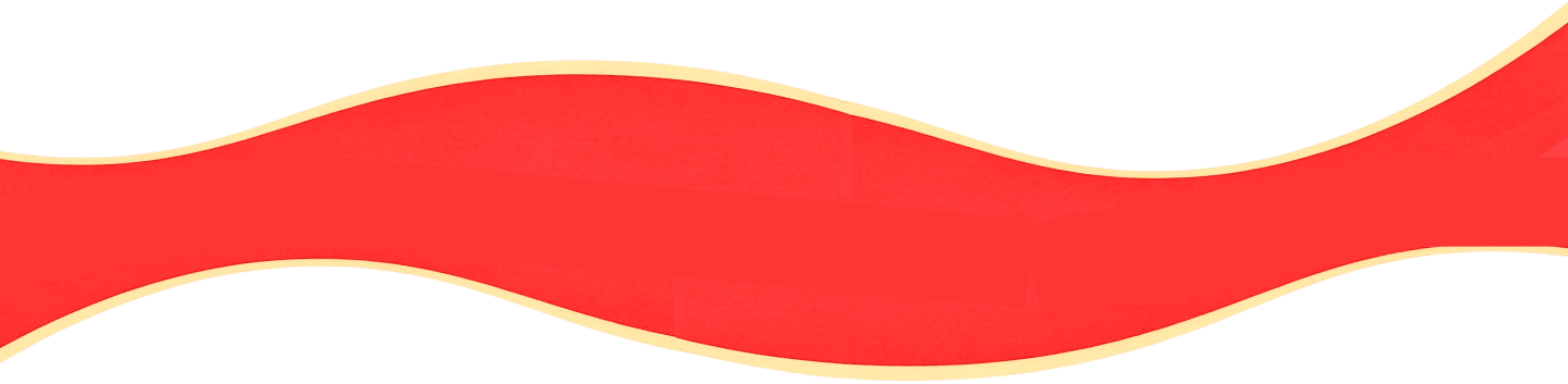 section division image